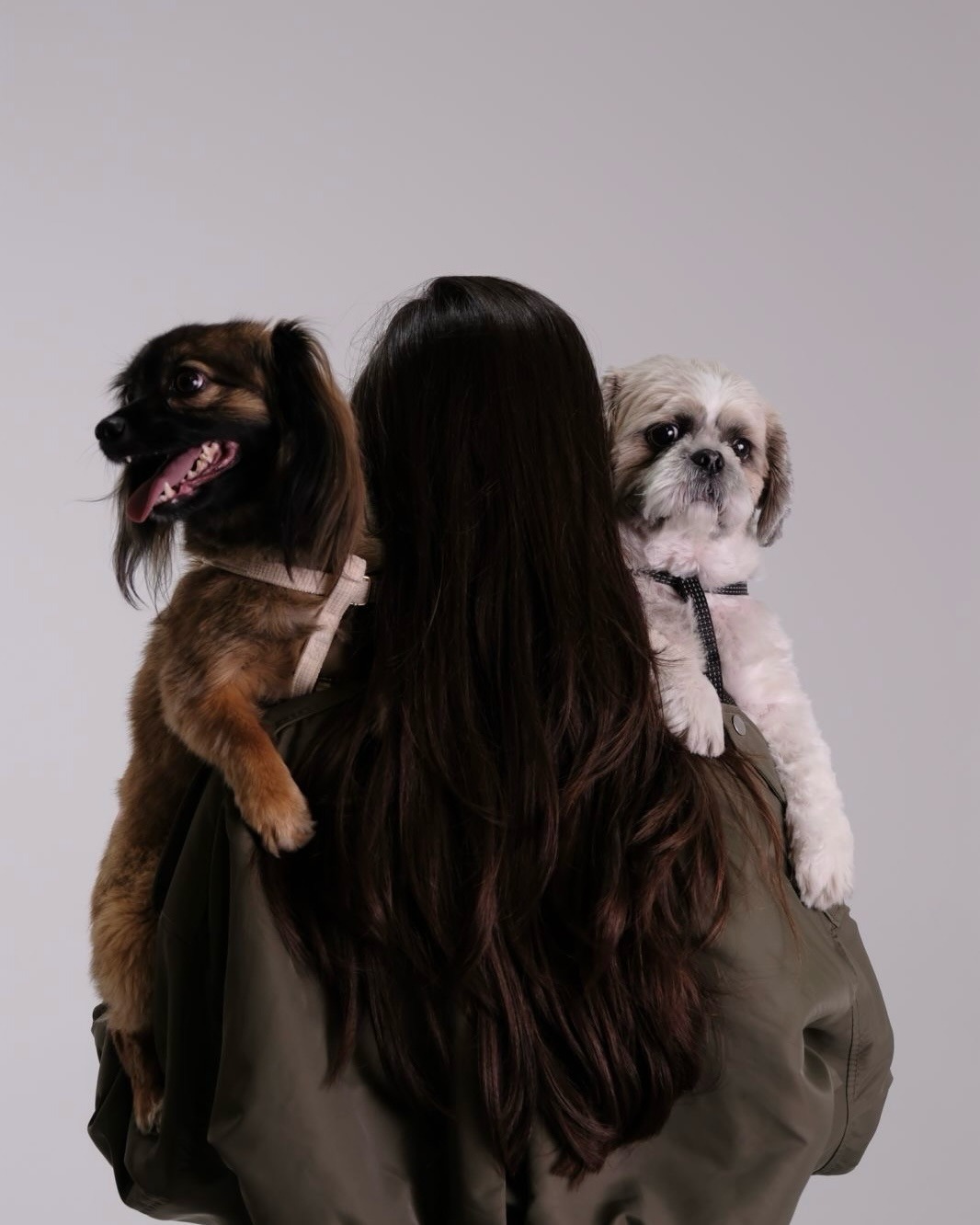 Grooming – DOGGY kutak